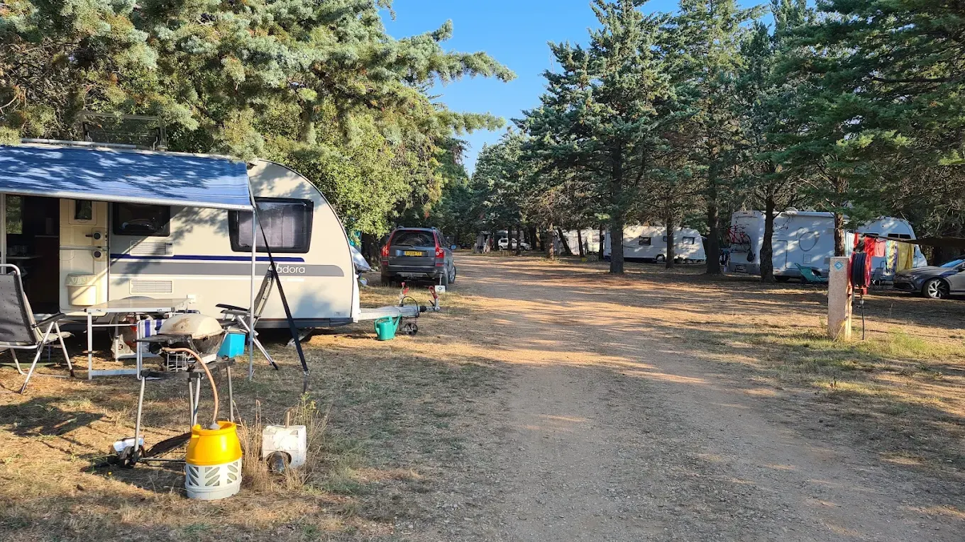 Allée de caravanes sous les arbres