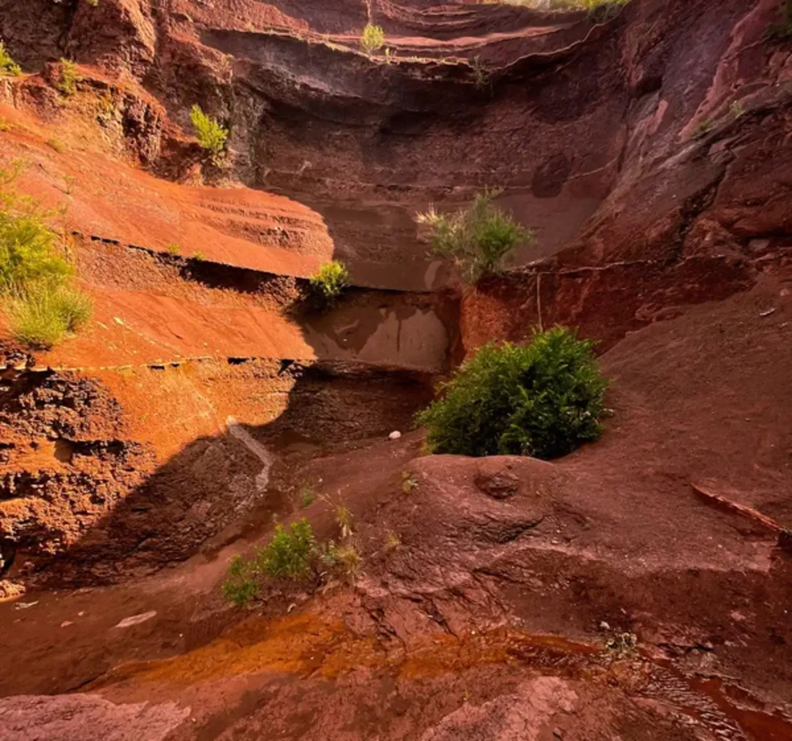 Ruffes rouges et falaises du Canyon du Diable