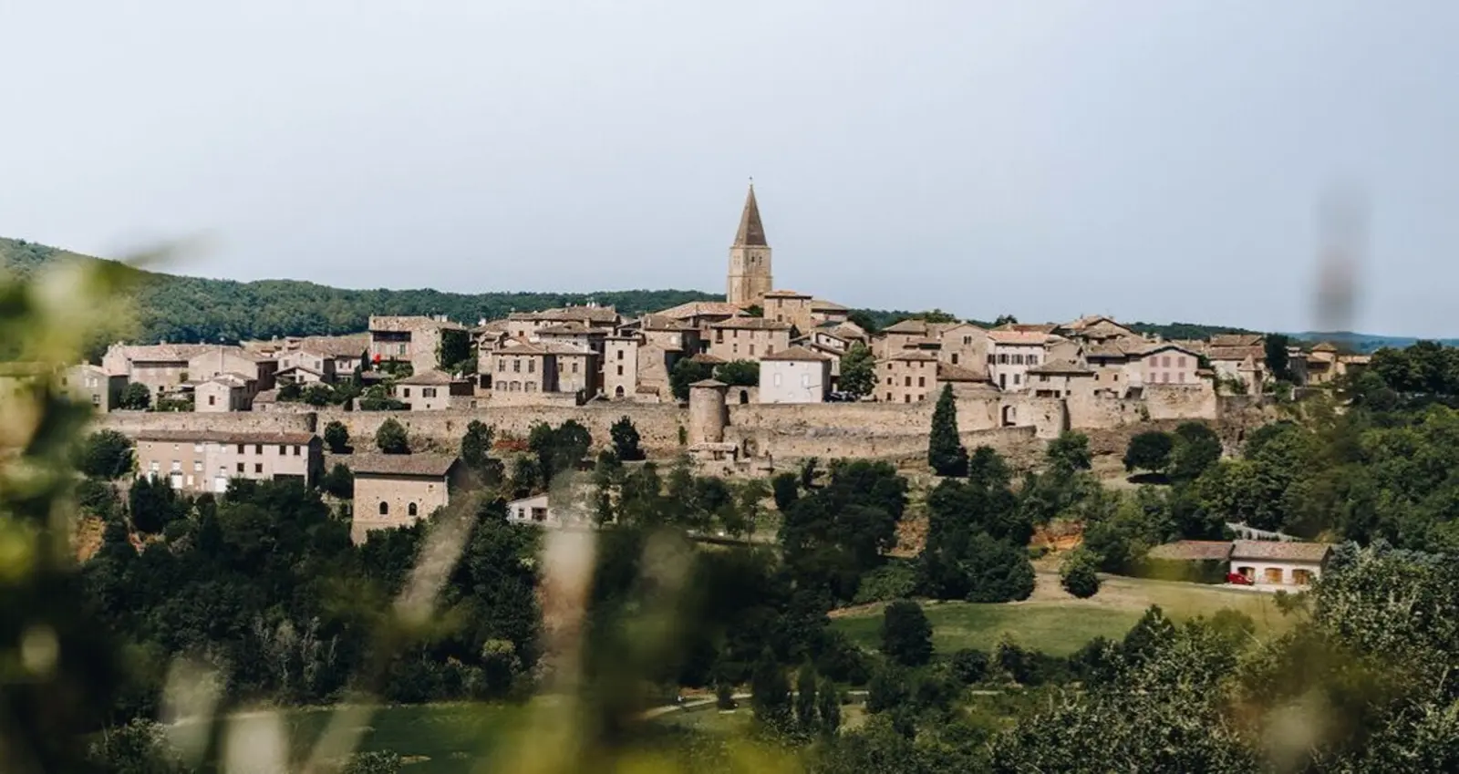 Domaine viticole Comps