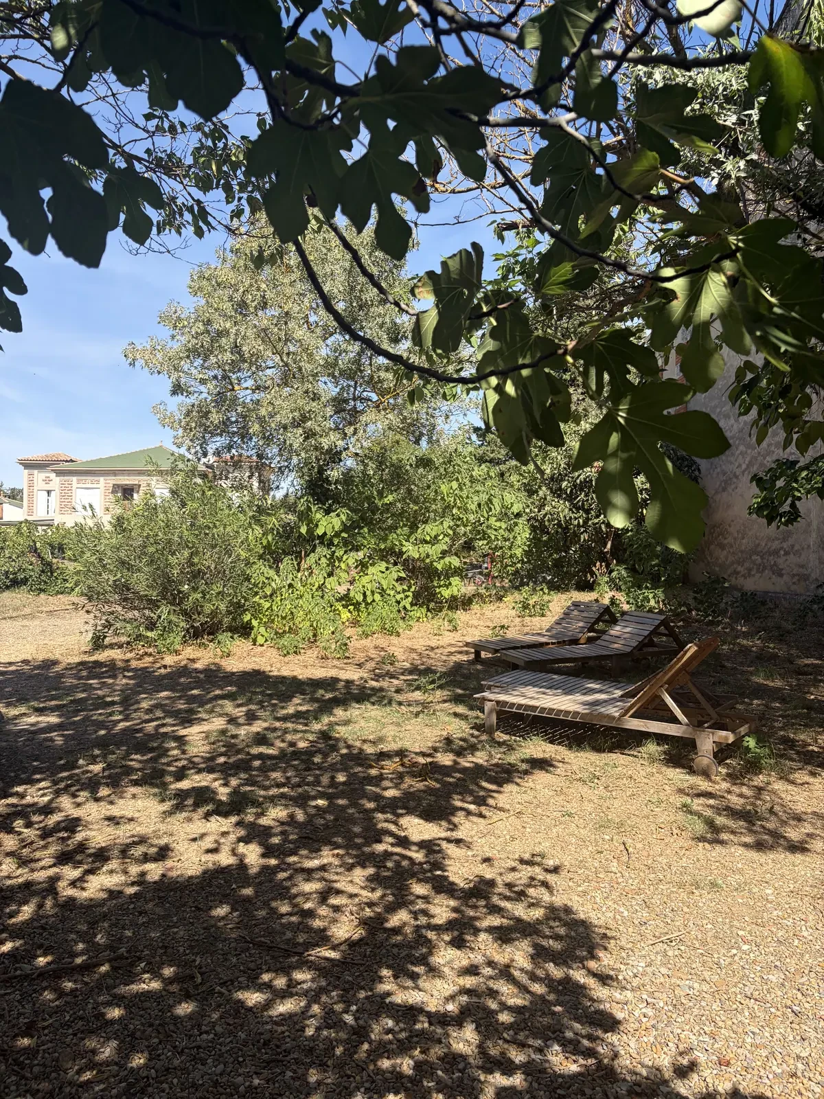 Jardin ombragé du gîte avec transats