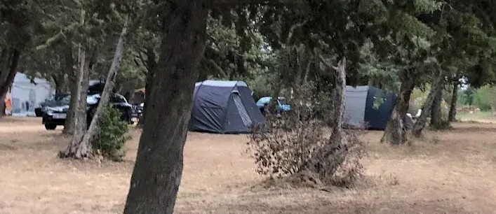 Tentes installées sous les bois