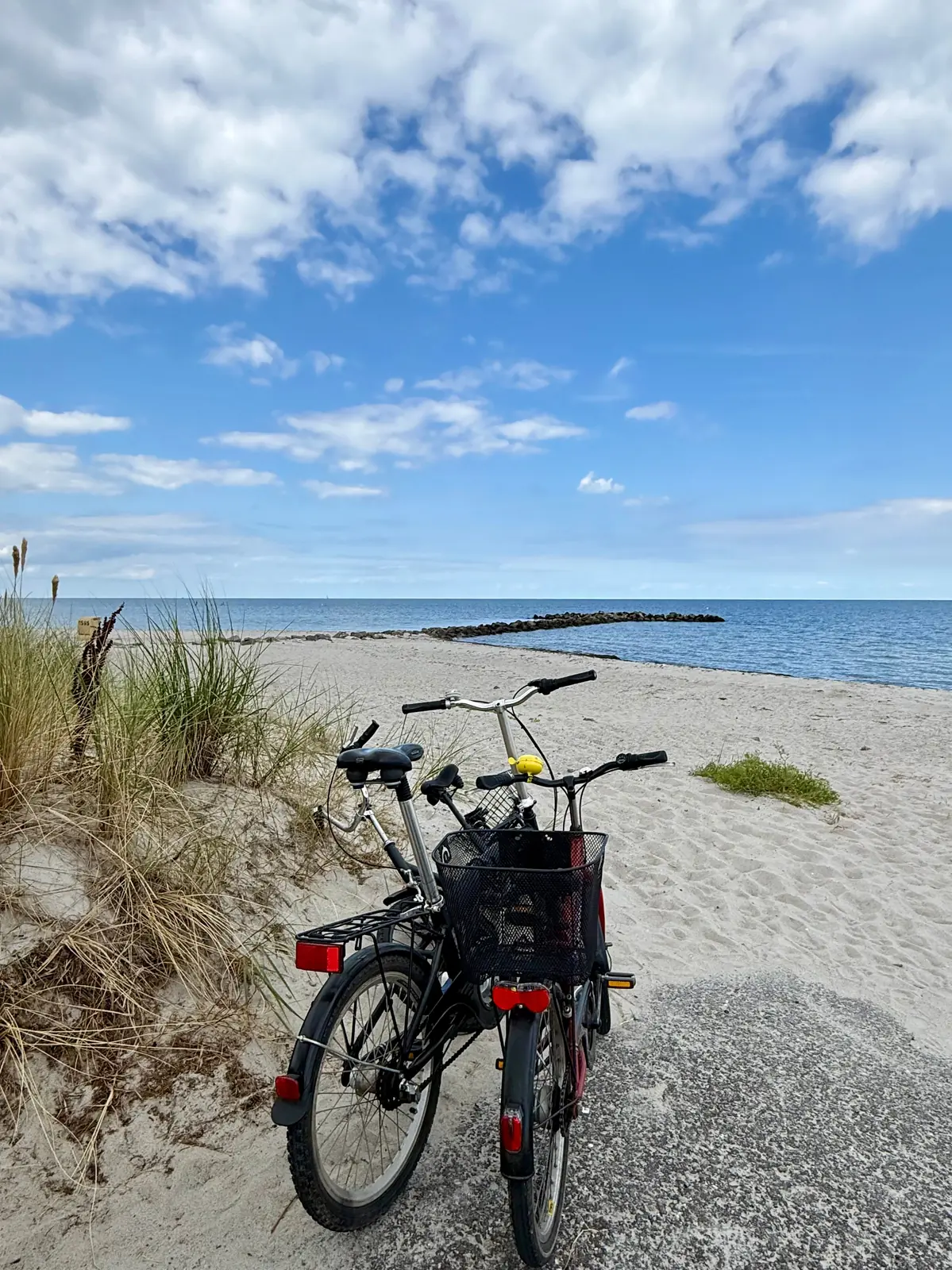 Vélos sur la plage, entre les dunes et la mer